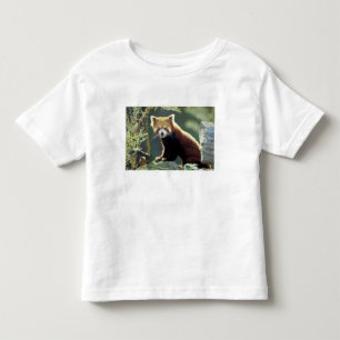 Rode panda (Ailurus fulgens) Kinder Shirts