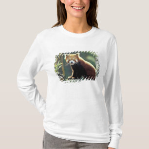 Rode panda (Ailurus fulgens) T-shirt