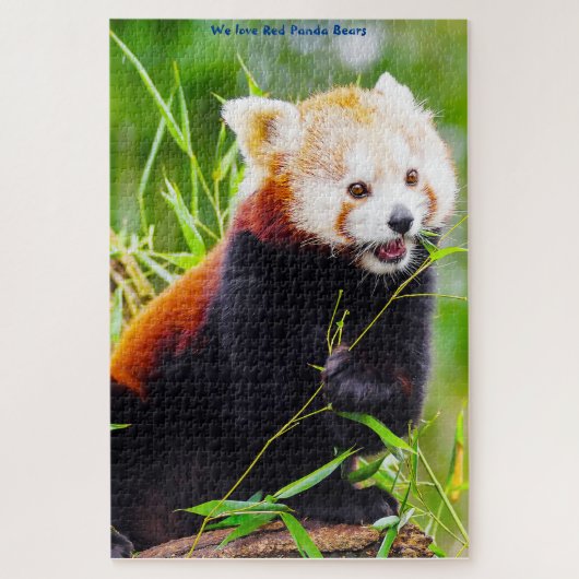 Rode Panda-Beren. Jigzaag Puzzle Legpuzzel (Verticaal)