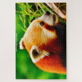 Rode Panda-Beren. Jigzaag Puzzle Legpuzzel (Verticaal)