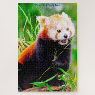 Rode Panda-beren. Legpuzzel
