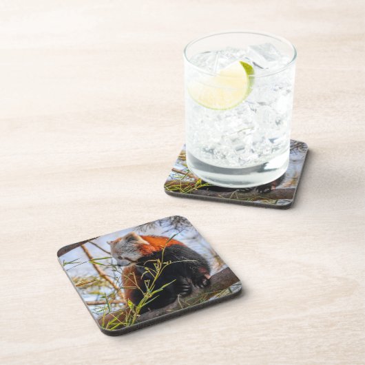 Rode panda bier onderzetter (Rechterzijde)