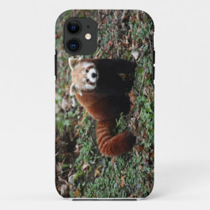 Rode panda iPhone 11 hoesje