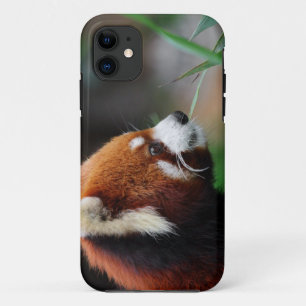 Rode panda iPhone 11 hoesje