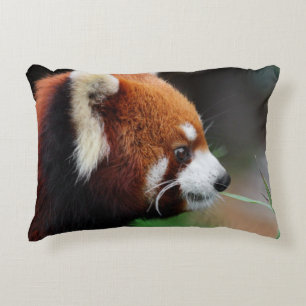 Rode panda decoratief kussen