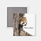 Rode panda die Peek-a-Boo speelt! Magneet (Voorkant / Achterkant)