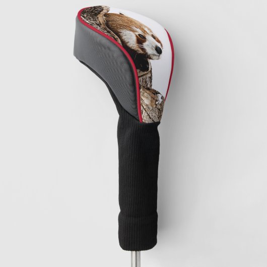 Rode panda die uit een boomstam gluurt golfheadcover (Schuin)