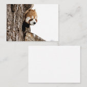 Rode panda die uit een boomstam gluurt notitiekaartje (Voorkant / Achterkant)