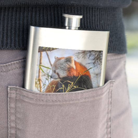 Rode panda flacon (Voorbeeld)