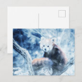  rode panda in de sneeuw feestdagenkaart (Voorkant / Achterkant)