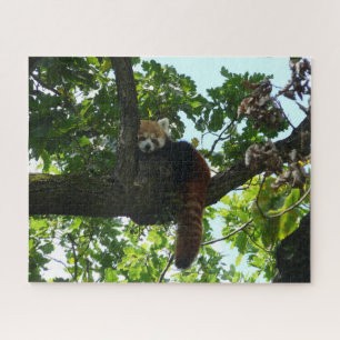 Rode panda in een boompuzzel legpuzzel