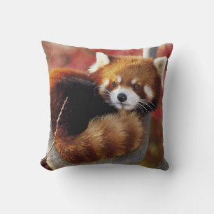 Rode panda in een Sierkussen
