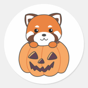Rode Panda In Pompoen Leuke Panda's Gelukkig Hallo Ronde Sticker