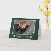 Rode Panda Kaart (Gele Bloem)