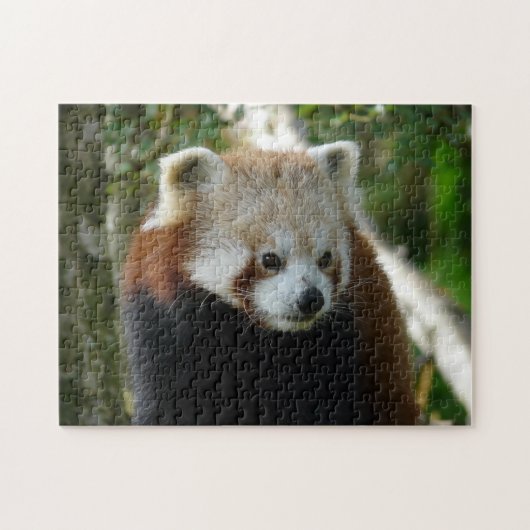rode panda legpuzzel (Horizontaal)