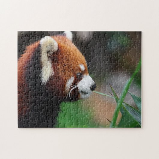 Rode panda legpuzzel (Horizontaal)