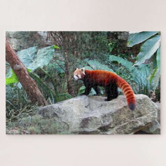 rode panda legpuzzel (Horizontaal)