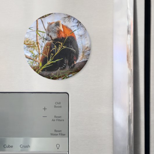 Rode panda magneet (Insitu (Koelkast))