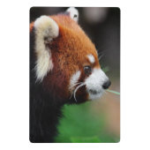 Rode panda mini klembord (Achterkant)