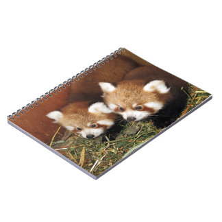 Rode panda notitieboek