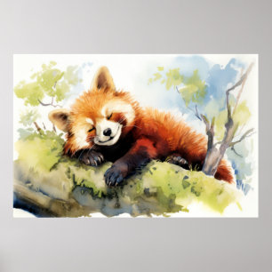 Rode Panda Ontspannen In Tuin Dierenplezier Gelukk Poster