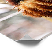 Rode panda op een boomledemaat poster (Hoek)