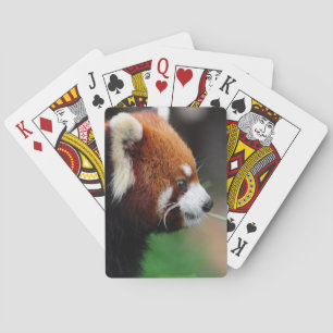 Rode panda pokerkaarten