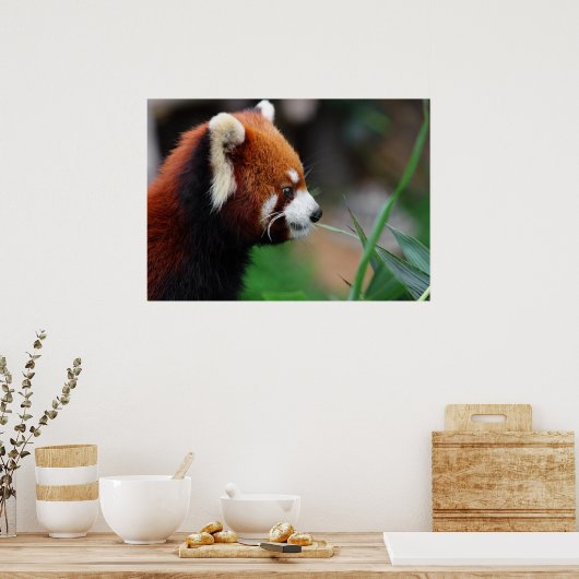 Rode panda poster (Keuken)