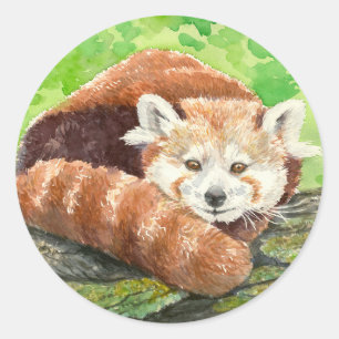Rode panda ronde sticker