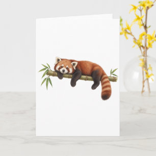 Rode panda rustend op bamboe kaart