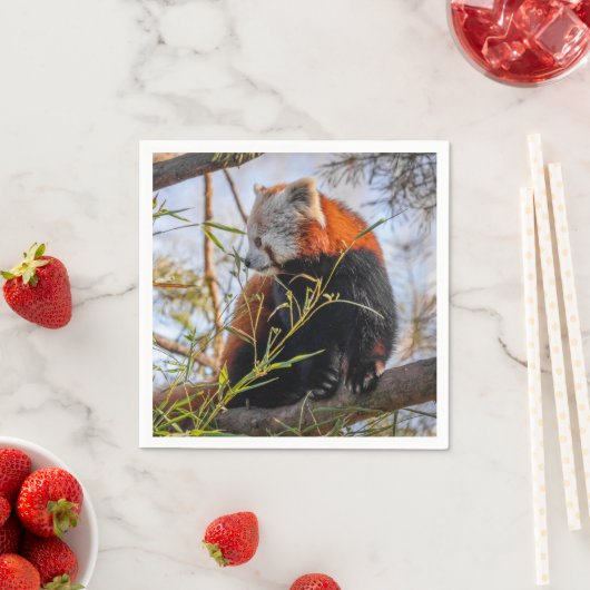 Rode panda servet (Insitu)