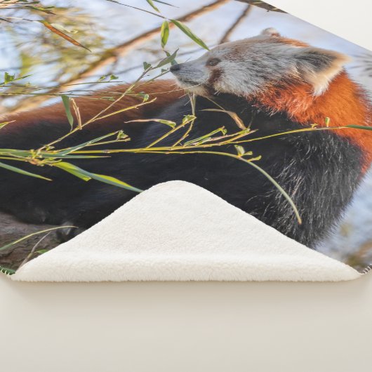 Rode panda sherpa deken (3/4)