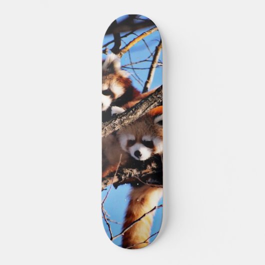rode panda skateboard (Voorkant)