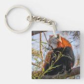 Rode panda sleutelhanger (Voorkant)