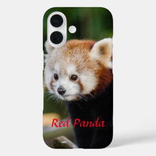 Rode Panda Sneeuw Log Afbeelding iPhone 16 Hoesje