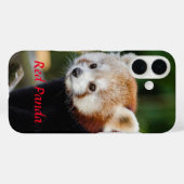 Rode Panda Sneeuwstam Foto Case-Mate iPhone Case (Achterkant (horizontaal))