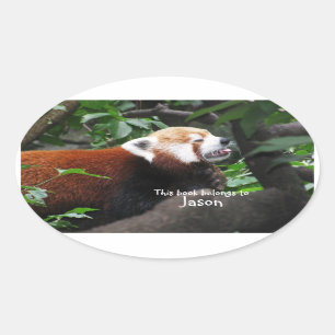 Rode Panda steekt zijn tong uit Ovale Sticker