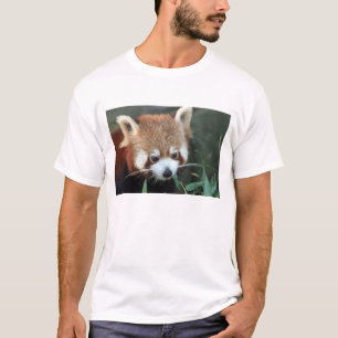Rode panda, Taronga Zoo, Sydney, Australië T-shirt