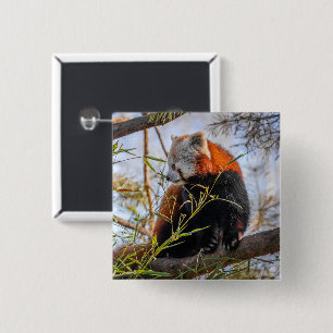 Rode panda vierkante button 5,1 cm