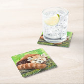 Rode panda vierkante kartonnen onderzetter (Insitu)