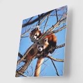 rode panda vierkante klok (Hoek)