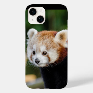 Rode Panda Wild Dier Case-Mate iPhone 14 Hoesje