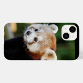 Rode Panda Wild Dier Case-Mate iPhone Case (Achterkant (horizontaal))