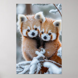 Rode panda wilde dier in een natuurlijke omgeving poster