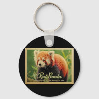 Rode panda - Wilde dieren van de Himalaya