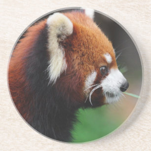 Rode panda zandsteen onderzetter