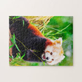 Rode Pandaberen. Legpuzzel (Horizontaal)