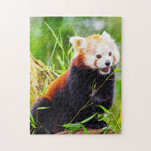 Rode Pandaberen. Legpuzzel (Verticaal)