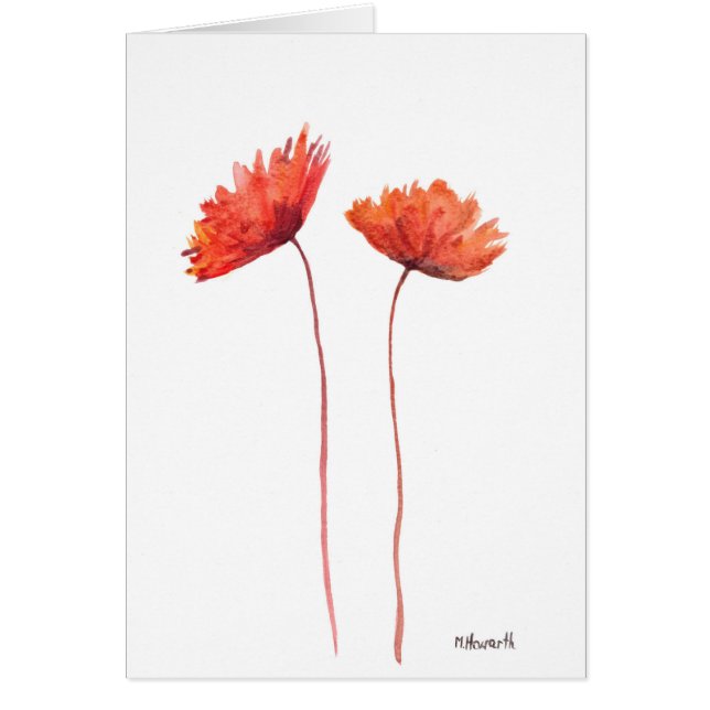 Rode papaver (Voorkant)