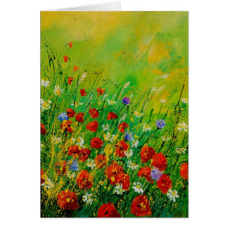 rode papaver 450708
